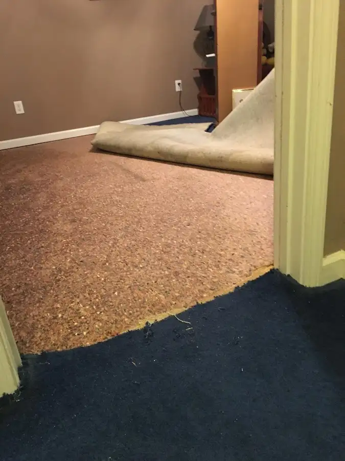 Carpet pad removal revealing water damage during Drying & Dehumidification in Onalaska