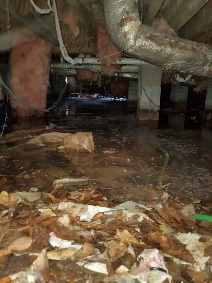 Crawl space flood assessment for Leak Detection & Repair in Onalaska
